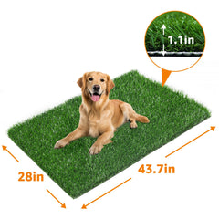 LOOBANI easy-clean grass turf shown being rinsed, ideal for fast maintenance.