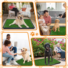 LOOBANI 1.1-inch grass blades close-up showing plush comfort for puppies.