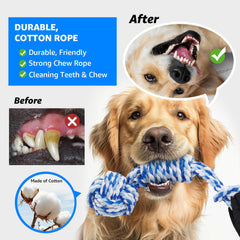 LOOBANI two-pack dog toys shown together for varied play sessions