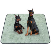 LOOBANI pad-absorbent-top-layer keeps surfaces dry during puppy training