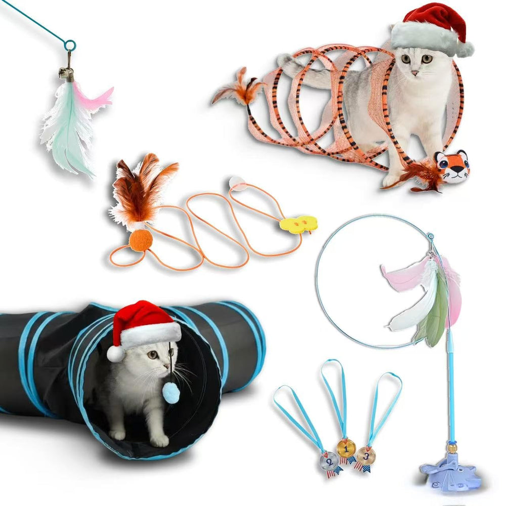 LOOPY CAT Gift Set Packaging, ready-for-gift presentation for multi-cat homes