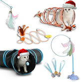 LOOPY CAT Gift Set Packaging, ready-for-gift presentation for multi-cat homes