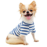 LOPHIPETS blue-striped dog tee front view shows breathable comfort for small pets