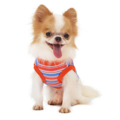 LOPHIPETS rib dog shirt for small Chihuahuas — back view shows snug fit.