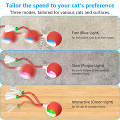 LORDTEC chirping motion-activate feature keeps cat curious and engaged.