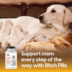 Lots of Love Bitch Pills ingredients chart emphasizes folic acid and DHA for puppy development.