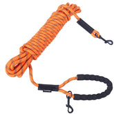 Loutep long leash 10ft training in yard for controlled recalls.