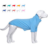 Lovelonglong dog pullover skyblue XS worn by a small dog for winter warmth.