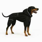Lovelonglong waterproof dog raincoat with removable hood shields during light rain.