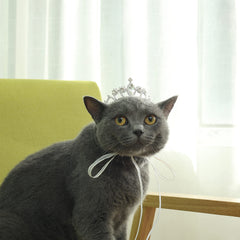 Lovelyshop crystal rhinestone tiara crown front view with sparkling shine for pets