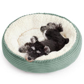 Love's cabin coussin donut vue générale en vert pomme, repos sûr pour chat et chien