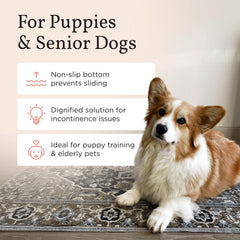 Lovewag Pets dog pad 36x48 large coverage offers extra floor protection.