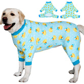 LovinPet Camiseta de recuperación para perros grandes, vista frontal, ayuda a mantener la limpieza.