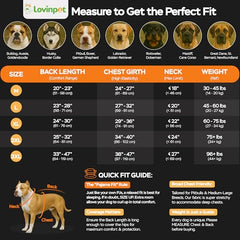 LovinPet large dog wearing the stretch knit shirt for recovery comfort