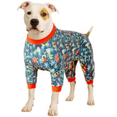 LovinPet large dog sweatshirt with dinosaur print front view for sunny outdoor walks.
