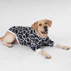 LovinPet large-breed wearing jacket showing comfortable fit for daily outdoor activity.