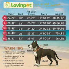LovinPet pit bull 2XL back view pajama showing full coverage and fit.