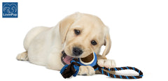 LOVINPUP lightweight nylon rope toy is easy to take on trips.