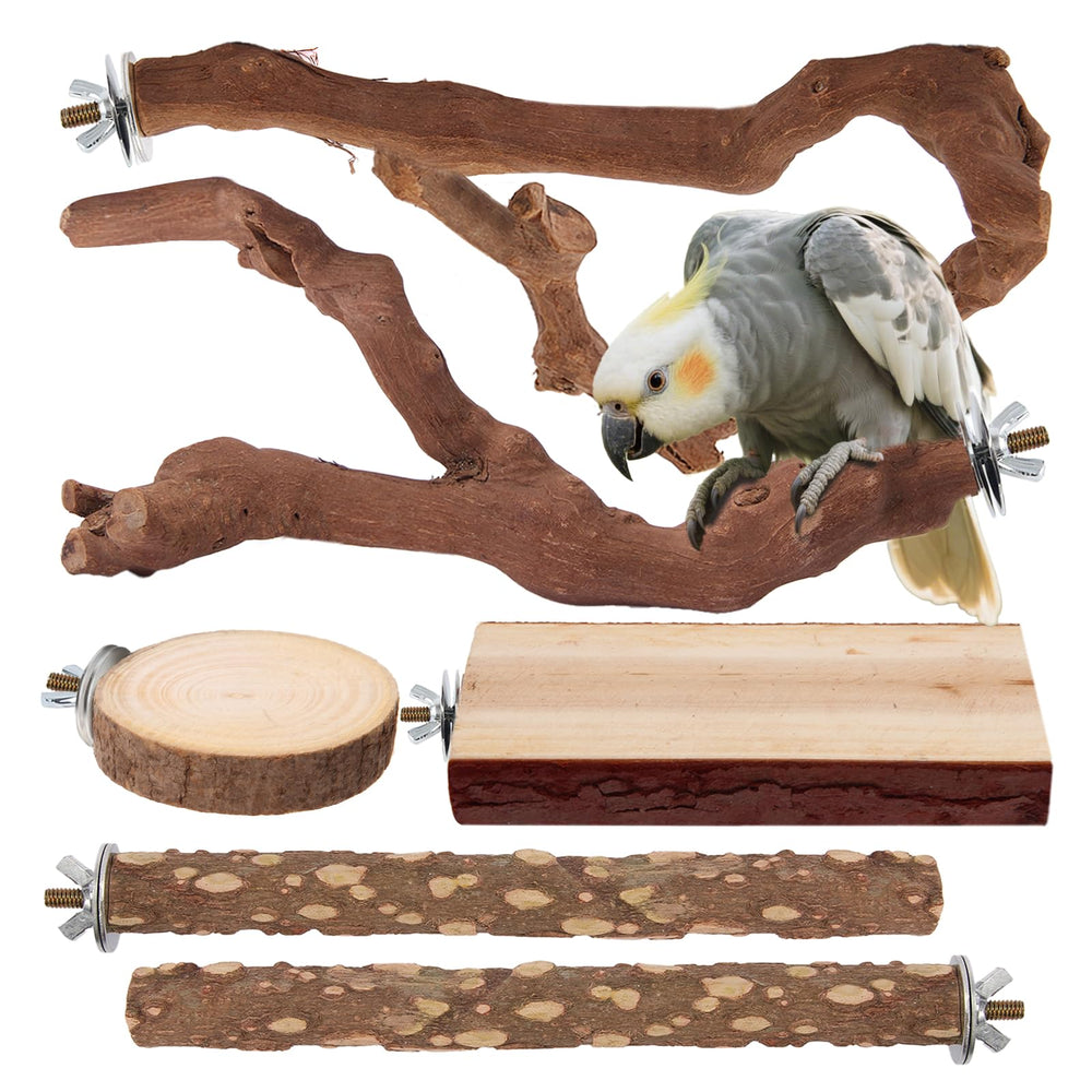 lovyoCoCo parrot perch gnarly grapevine branch offers natural texture for climbing.
