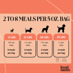 Loyal Saints freeze-dried raw dog food bag for convenient serving