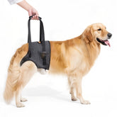 Lqyom dog sling for large dogs with breathable mesh for cooler walks