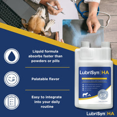 LubriSynHA liquid dosing syringe enables precise daily dosing for pets' joint health.