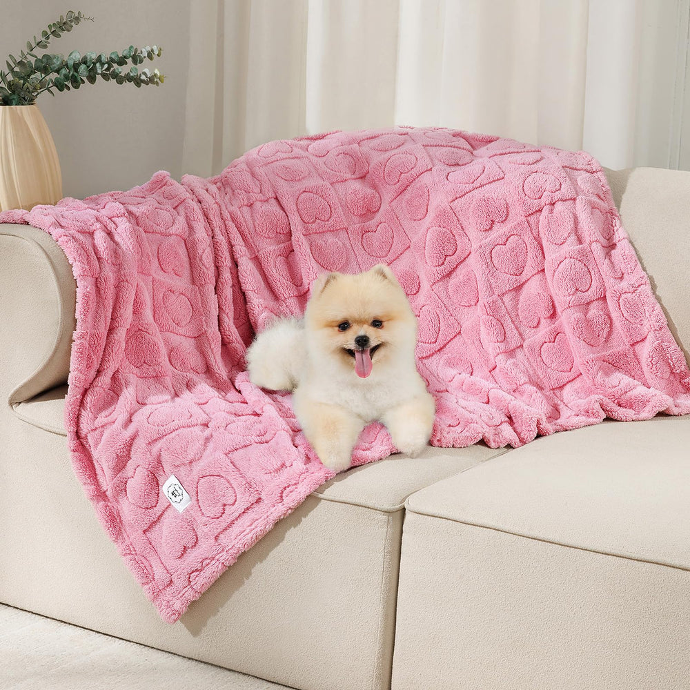 Luciphia small dog blanket with soft fleece offers cozy lounging on the couch.