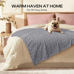 Luciphia blanket protects sofas from pet hair and scratches