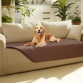 Luciphia waterproof couch cover on a sofa protects furniture from spills