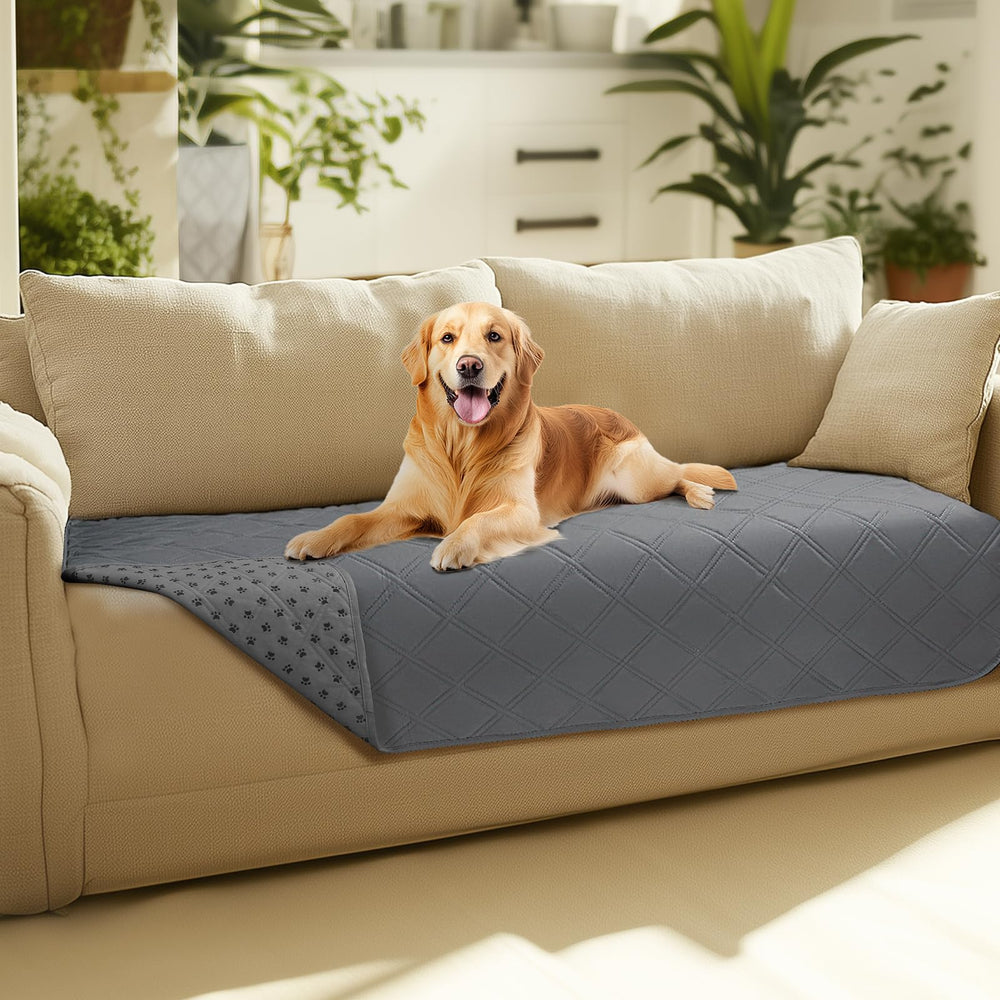 Luciphia waterproof couch cover on a sofa protects against spills and accidents.