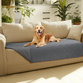 Luciphia waterproof couch cover on a sofa protects against spills and accidents.