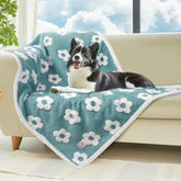 Luciphia Waterproof Pet Blanket in blue on a couch protects furniture