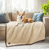 Luciphia waterproof pet blanket on sofa protecting furniture from fur and spills.