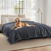 Luciphia Waterproof Pet Blanket on a sofa protecting upholstery from spills