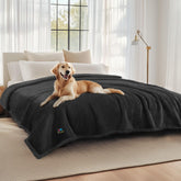 Luciphia waterproof pet blanket on a sofa protecting furniture from spills and hair