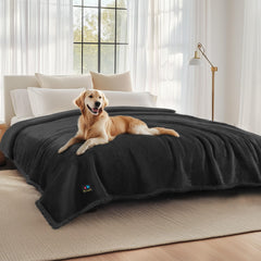 Luciphia waterproof pet blanket on a sofa protecting furniture from spills and hair