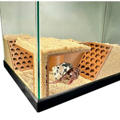 Lucky Critter Hermit Crab Underground Cave Corner view demonstrates climbing and exploration enrichment.