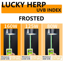 LUCKY HERP 160W UVB lamp with internal thermal switch safety