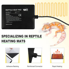 LUCKY HERP heat pad terrarium mounted demonstrates stable placement for consistent heat.