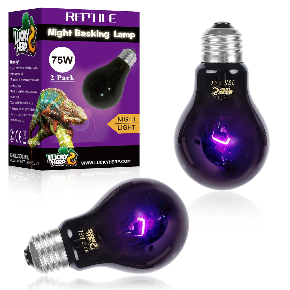 LUCKY HERP night heat lamp bulb closeup shows durable reptile grade construction