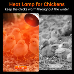 Lucky Herp red infrared light for pets supports restful sleep