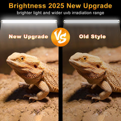 Lucky Herp T8 15W UVB lamp dual-pack demonstrates broader coverage for larger enclosures.
