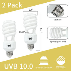 Lucky Herp UVB bulb in desert reptile basking setup for calcium metabolism