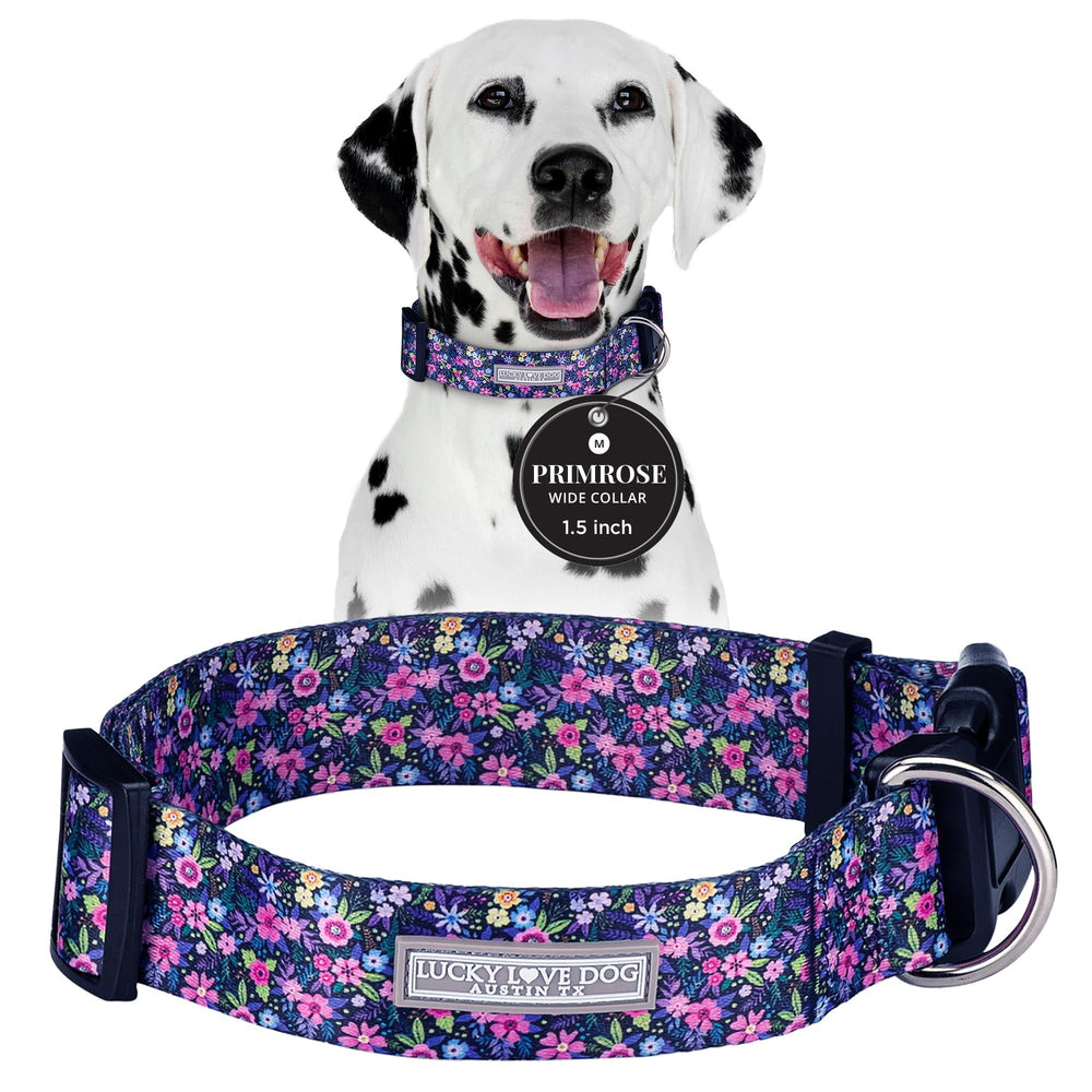 Lucky Love Dog wide collar Primrose front view shows comfortable 1.5-inch width.