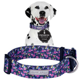 Lucky Love Dog wide collar Primrose front view shows comfortable 1.5-inch width.