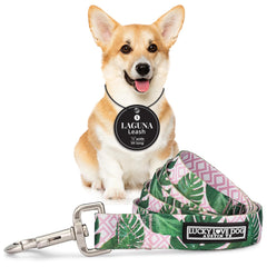 Lucky Love Dog Laguna leash with soft-hand loop for comfortable daily walks
