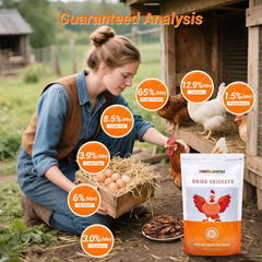 LuckyQworms high-protein calcium insect food supports muscle and bone development.