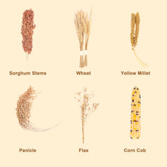 LUVCOSY Sprays Set Panicle Millet boosts foraging energy in hamsters.