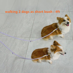 Lucpawz gold zinc-alloy snap hook highlights secure, quick-attach performance.