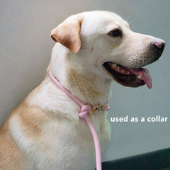 Lucpawz 4ft short-leash mode supports walking two dogs with control.